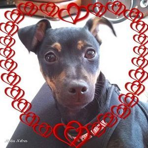 Meet your Posher, Jill